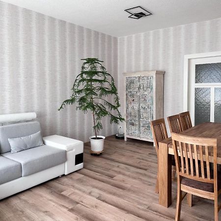 Schoene Altbauwohnung Mit Grosser Sonnenterrasse 鲁多尔施塔特 外观 照片