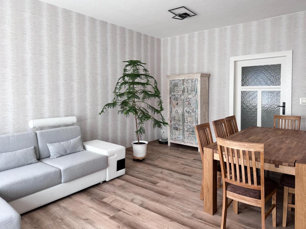 Schoene Altbauwohnung Mit Grosser Sonnenterrasse 鲁多尔施塔特 外观 照片